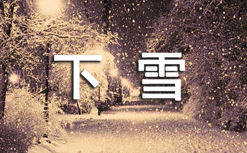 下雪的前后变化作文