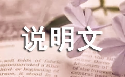 说明文说明方法及作用