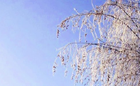 冬天的雪花作文