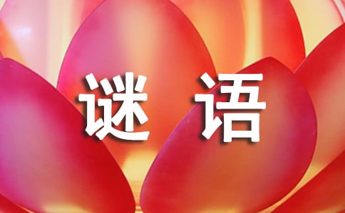 儿童谜语及答案