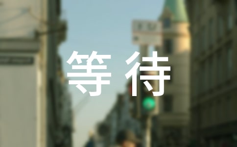 等待天黑初中作文