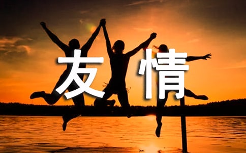 别样的友情作文