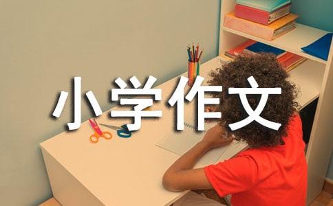 奋斗的小学作文