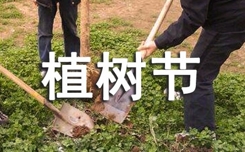 植树节的作文