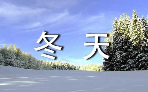 冬天的故事作文