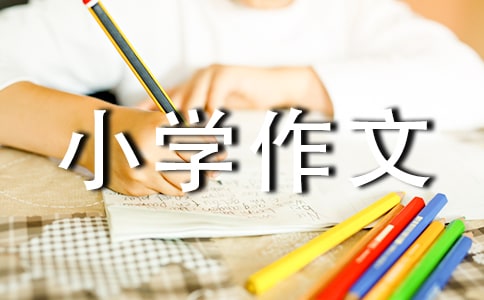 包书小学作文