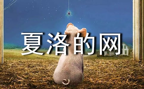 夏洛的网读后感50字