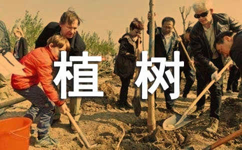 植树三年级作文300字