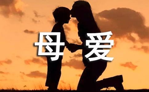 伟大的母爱的作文