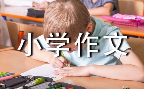 赶年集小学作文