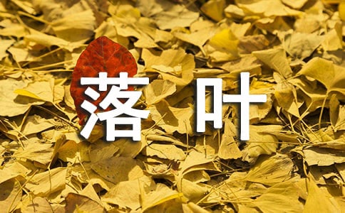 秋风落叶歌词姜玉阳