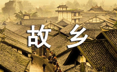 二十年后回故乡的作文