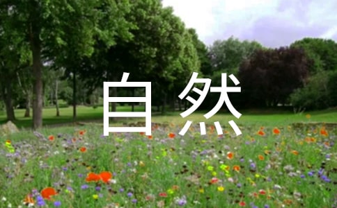 大自然作文300字