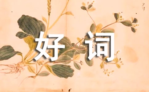 俗世奇人中的好词好句