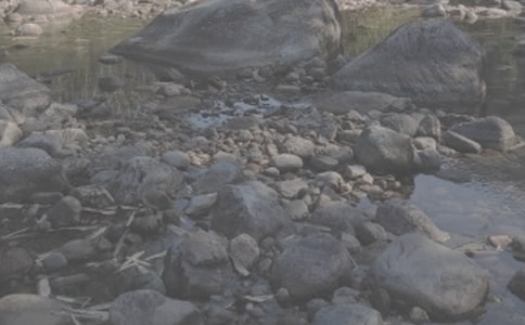 小溪流的歌阅读答案