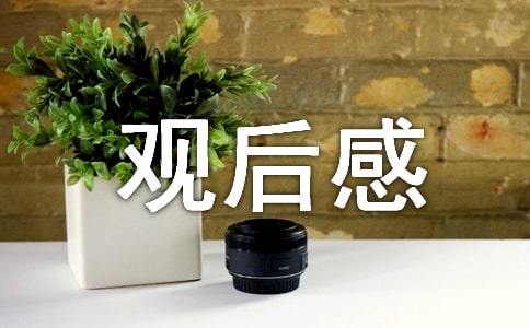 《第一大案》观后感