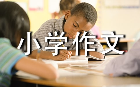 奋斗小学作文
