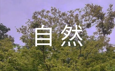 亲近自然作文1000字