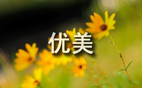 环境描写的优美段落