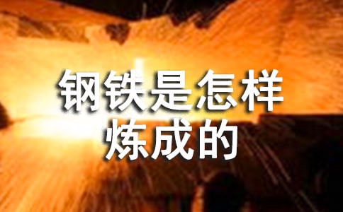 钢铁是怎样炼成的好词好句赏析