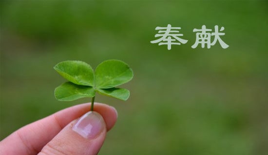 无私奉献作文