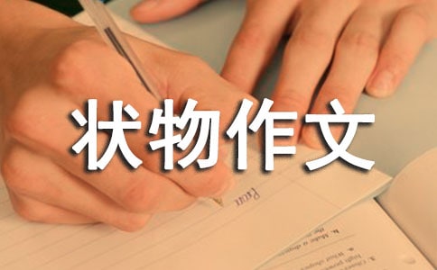 功夫不负有心人作文600字