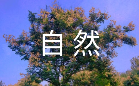 人与自然的和谐作文