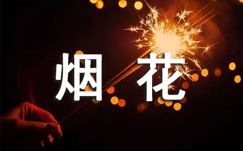 烟花作文600字
