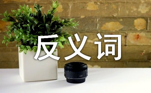 宽的反义词