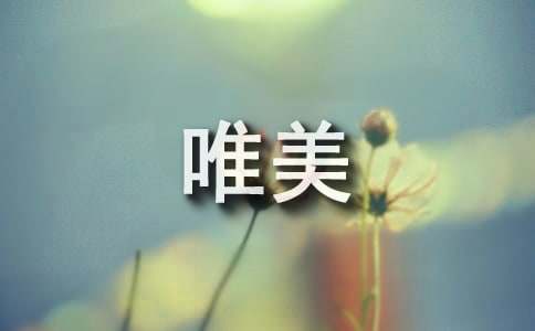 最唯美的句子