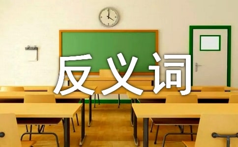 狠毒的反义词是什么