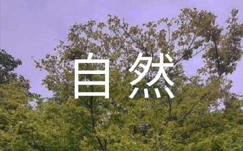 组织夜观和自然考察活动心得体会