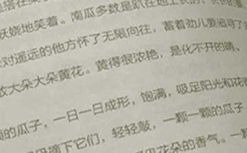 小学语文新课改学习心得体会