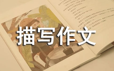 人物描写作文200字