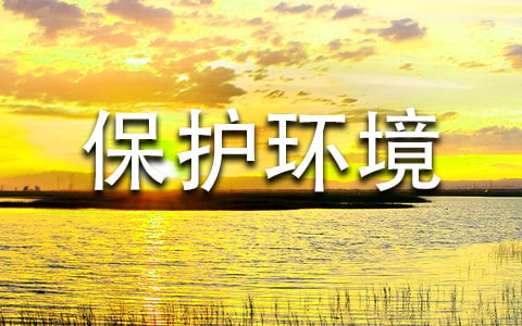 保护环境的作文450字