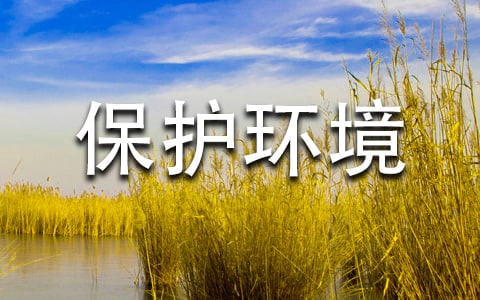 保护环境建议书作文