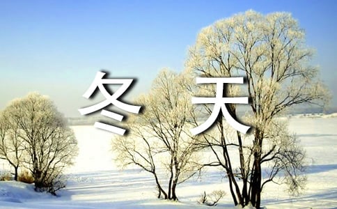 冬天里的温暖作文