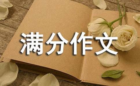 小学满分作文