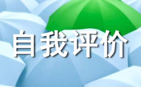 主要工作业绩怎么写及自我评价