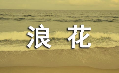 心海里的那朵浪花作文