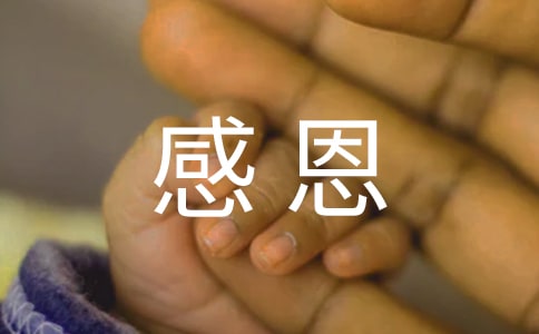 感恩父母作文