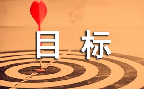聚焦总目标的心得体会