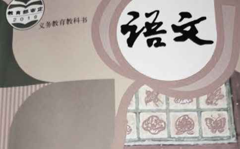 我从生活中学到了语文作文