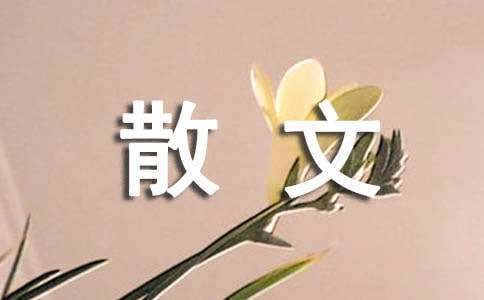 孤独本是生命的常态抒情散文