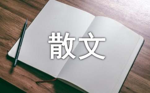 孤松高中散文
