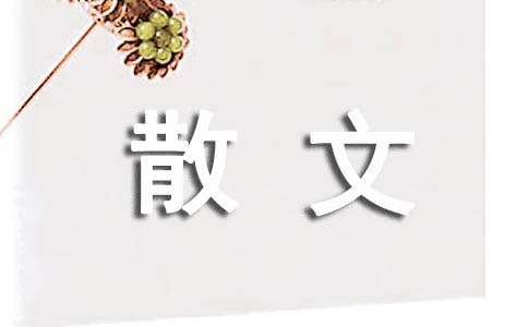 风花雪月高中抒情散文
