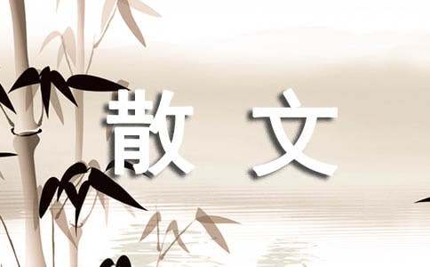 你若懂我初中散文