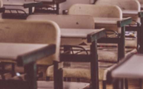 《酷虫学校》读后感