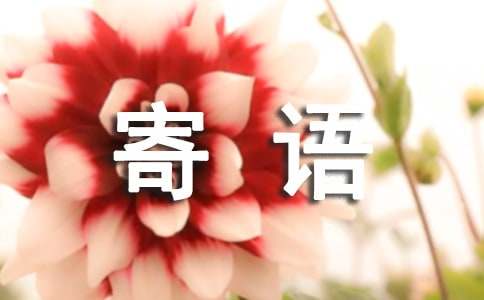 寄语怎么写