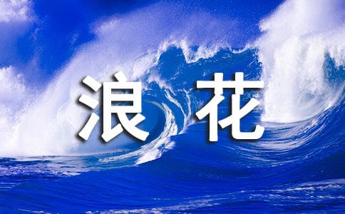生活中的一朵浪花作文